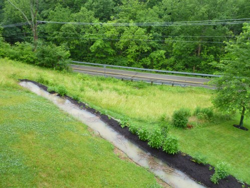 Permaculture swale with water
