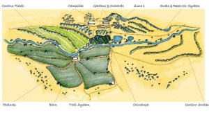 Permaculture Design Quail Springs