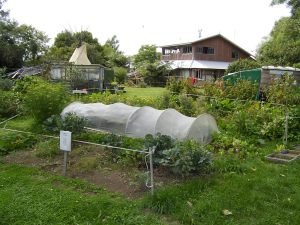 New Zealand 154 copy